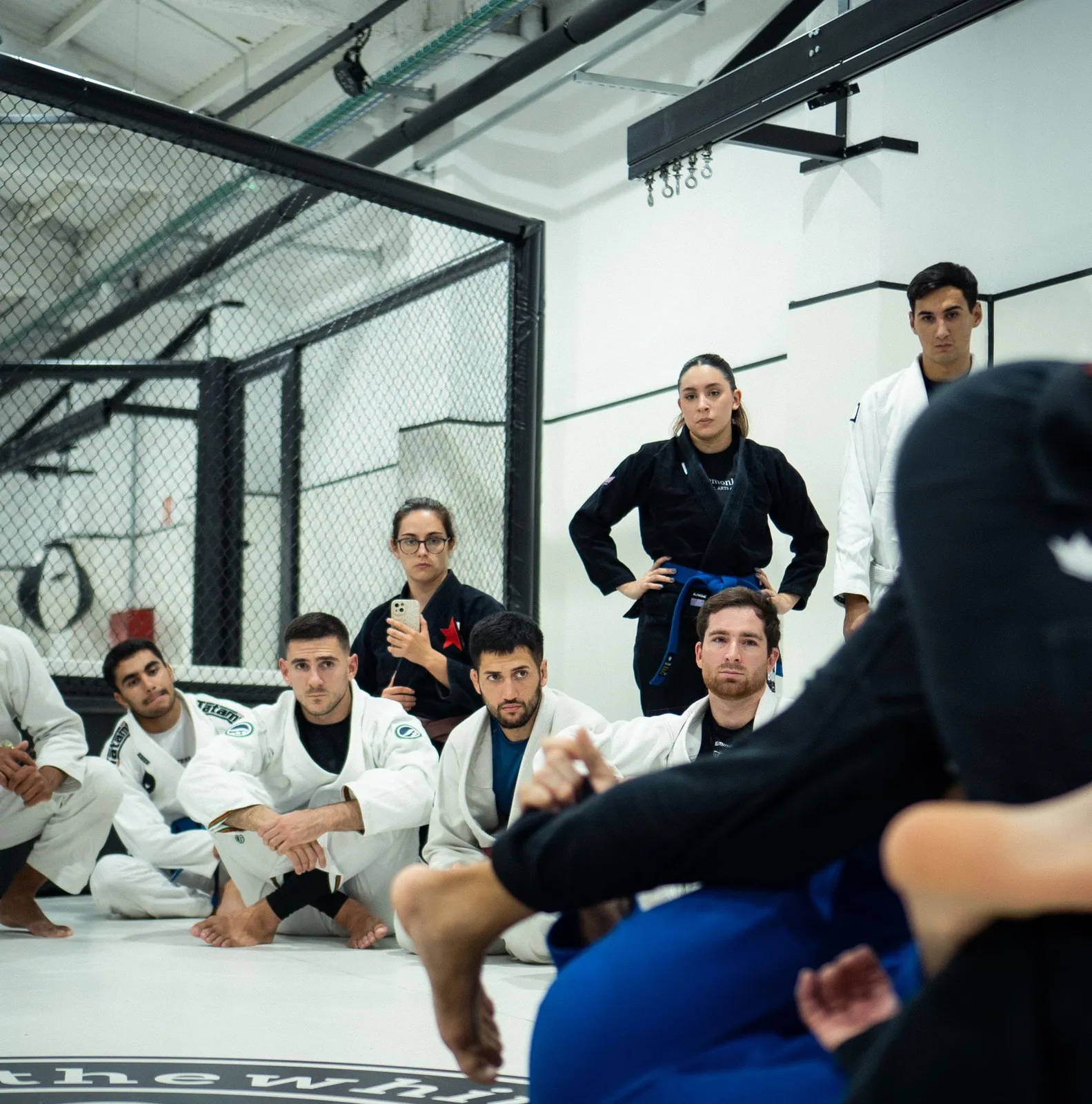 DEPORTES — CAT4528